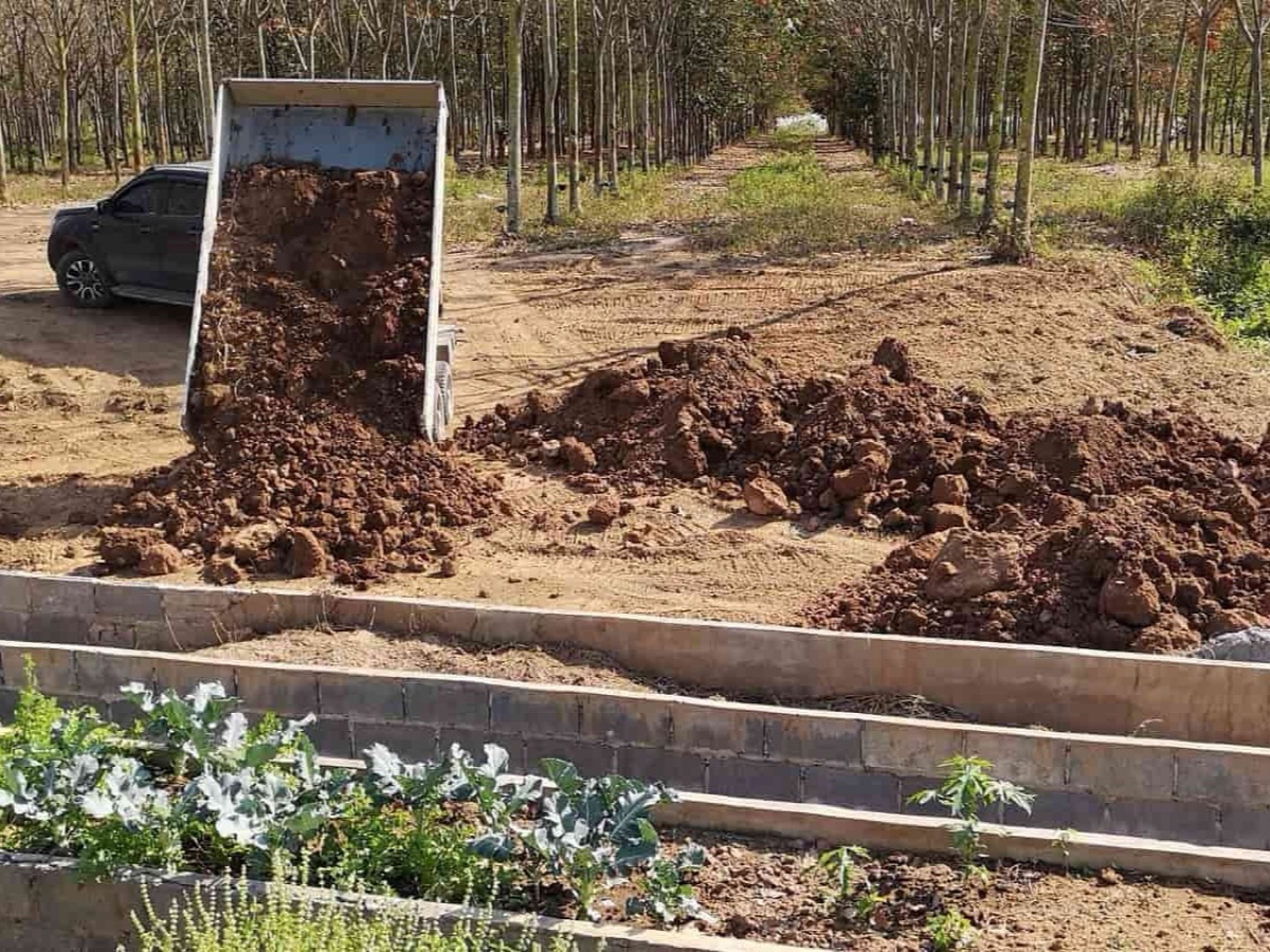 Soil being delivered by tipper truck